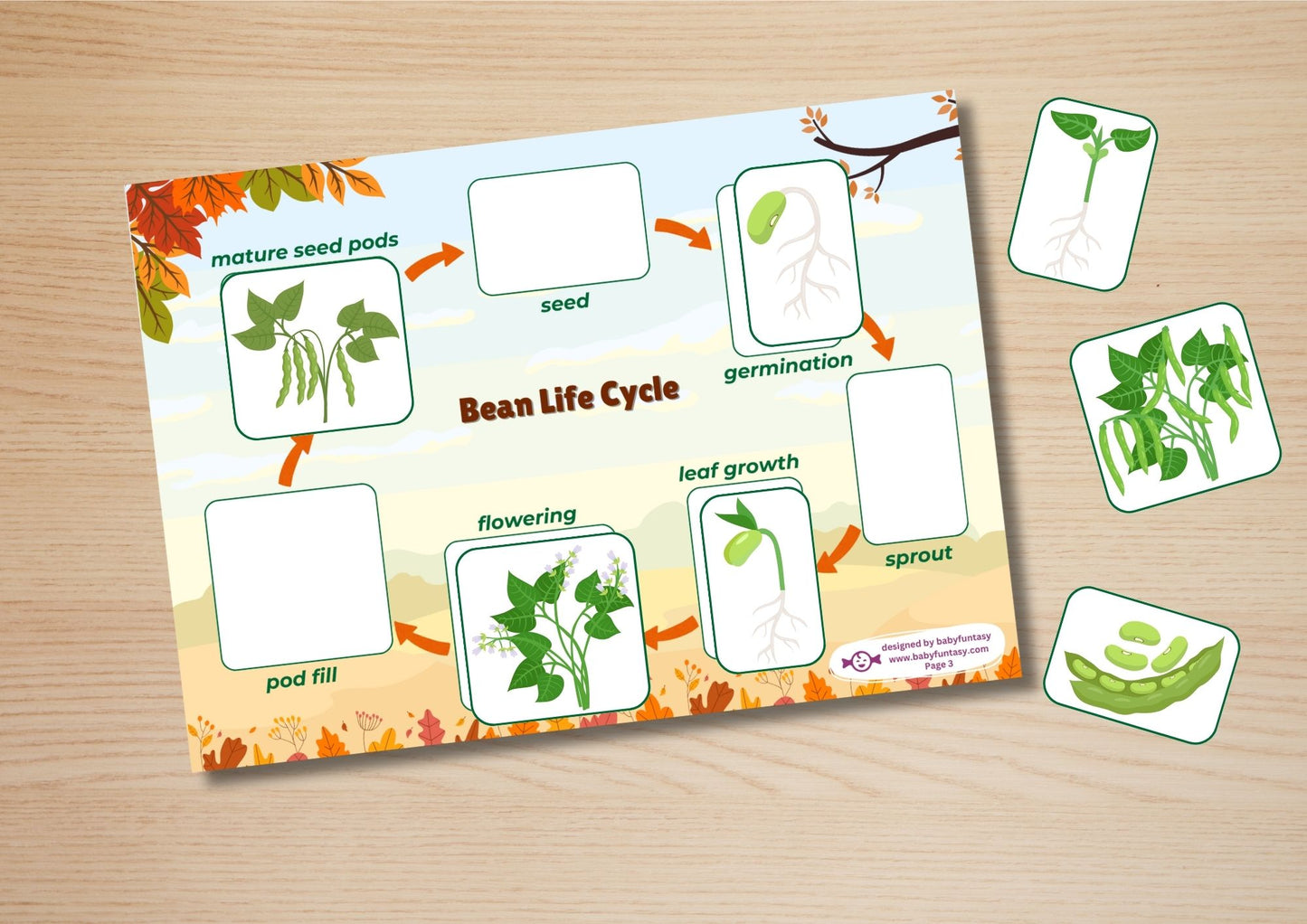 Autumn Busy Book Baby Funtasy 4