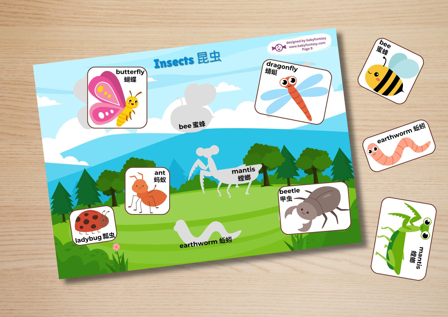 Chinese Animal Busy Book Baby Funtasy 7