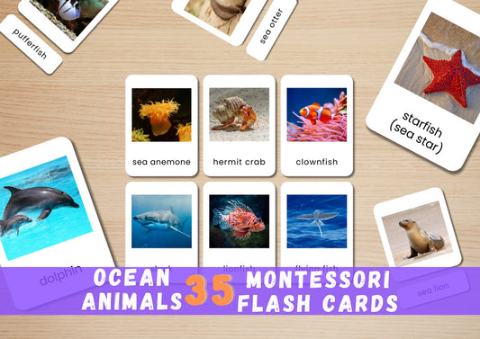 35 Ocean Animal Flashcards | Real Photo Montessori Cards