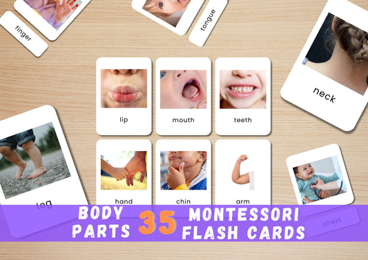 35 Real Photo Body Parts Flashcards | Montessori Anatomy Preschool Cards