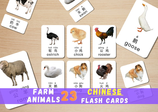 Chinese Flash Card Farm Animal Baby Funtasy Cover