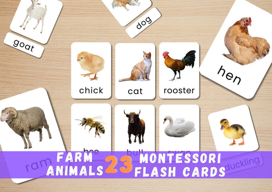 Flash Card Farm Animal Baby Funtasy Cover