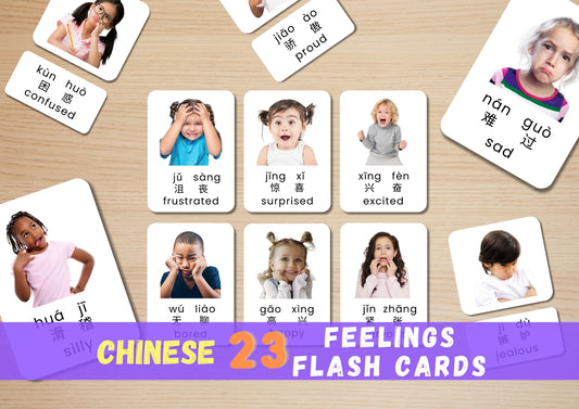 23 CHINESE Feeling Flash Card, Digital Download, Printable Montessori Material